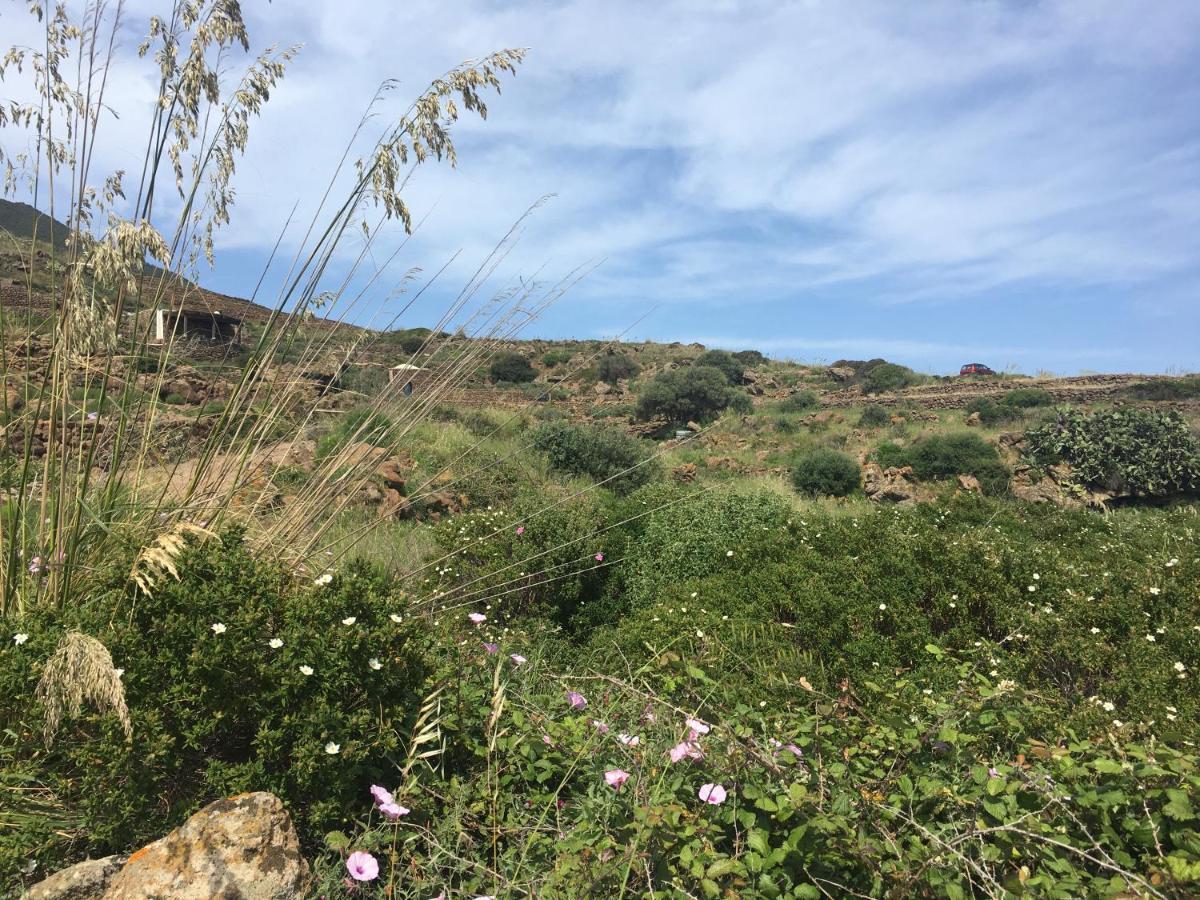 Dammusi Il Serralh -Pantelleria- Villa Scauri  Exterior photo