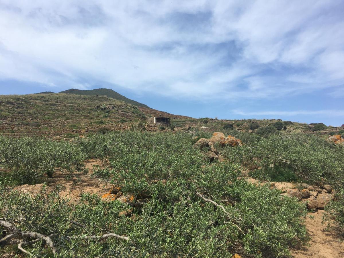 Dammusi Il Serralh -Pantelleria- Villa Scauri  Exterior photo