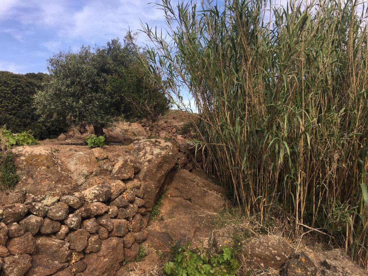 Dammusi Il Serralh -Pantelleria- Villa Scauri  Exterior photo