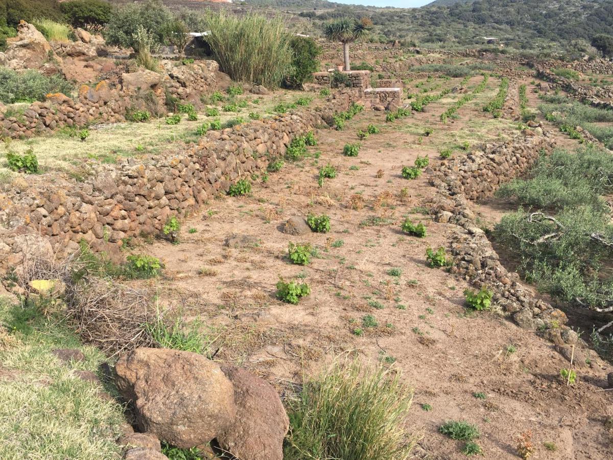 Dammusi Il Serralh -Pantelleria- Villa Scauri  Exterior photo